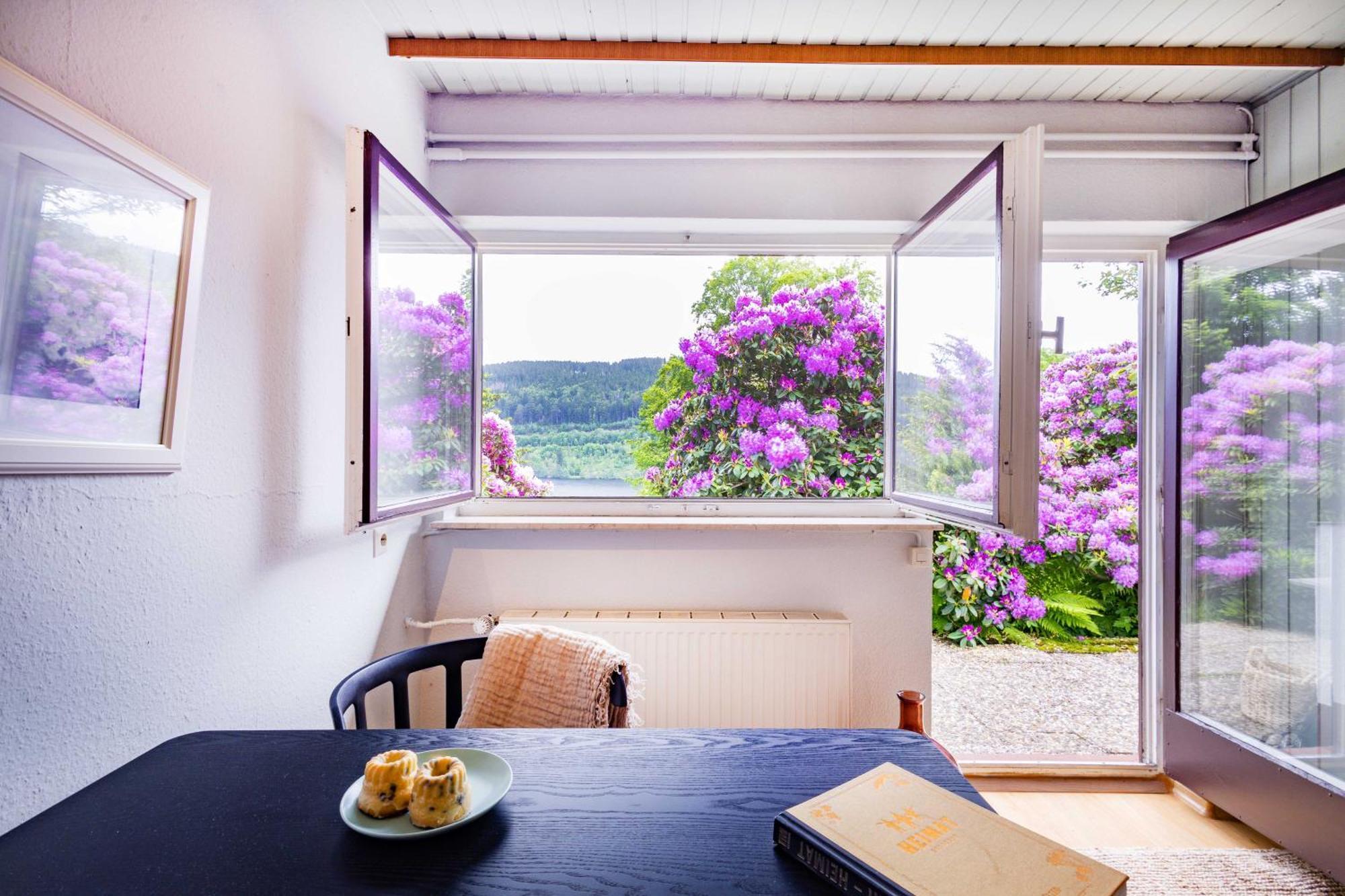 Black Forest Apartments Titisee Ngoại thất bức ảnh